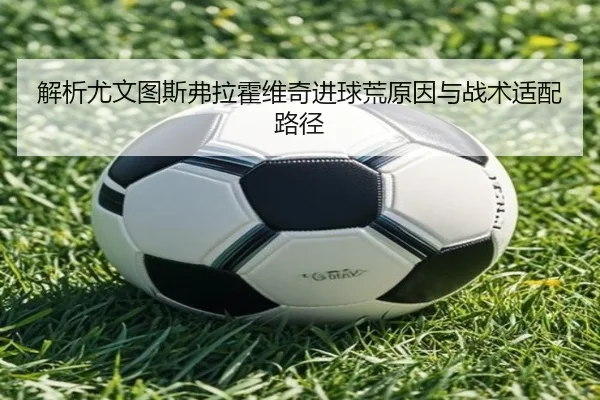 img_1780304531193_45_1_487.jpg