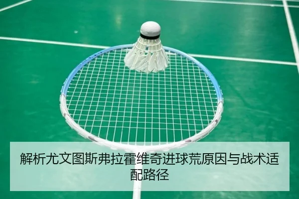 解析尤文图斯弗拉霍维奇进球荒原因与战术适配路径